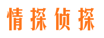 南涧市私家侦探